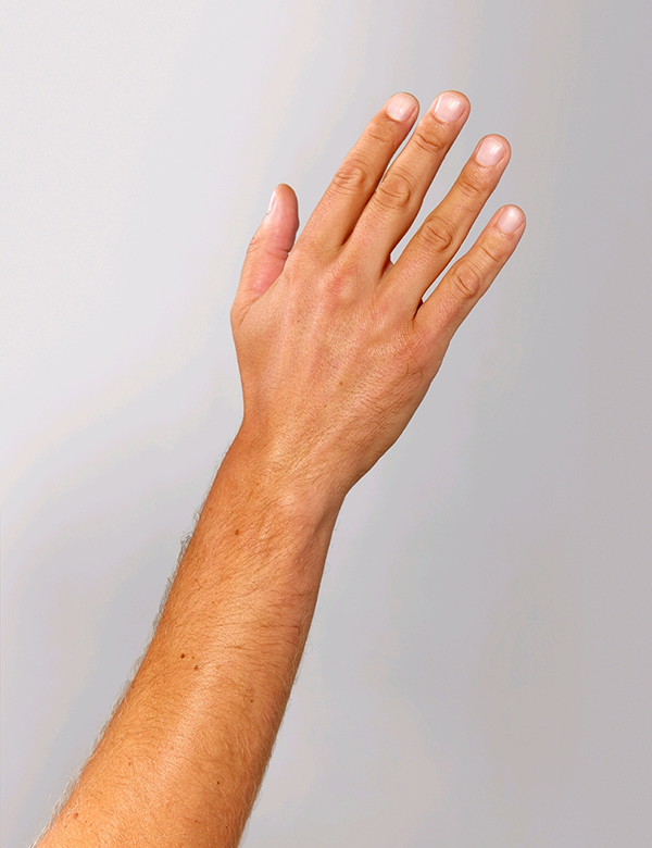Mannelijk handmodel met blond haar Bart P.