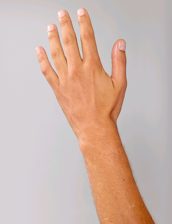 Mannelijk handmodel met blond haar Bart P.