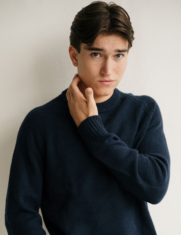 Mannelijk model met bruin haar Dirk U.