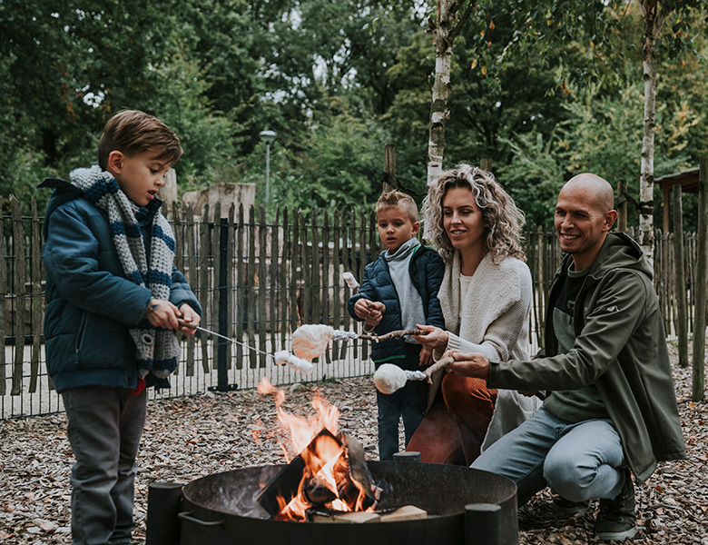 Familiemodellen de Jong