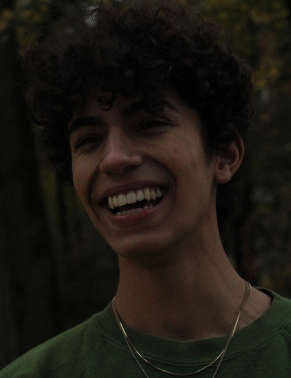 Mannelijk model met bruin haar Sem