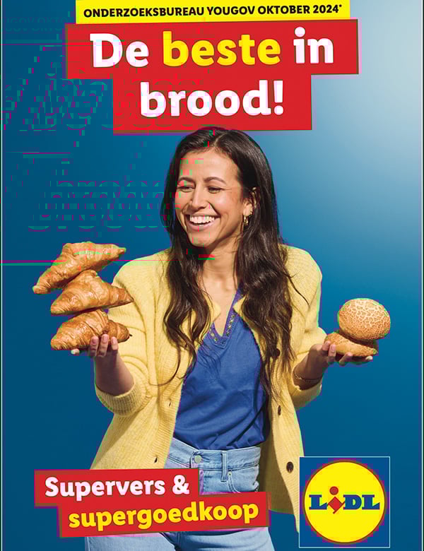 Vrouwelijk model met lang bruin haar Quinty S.