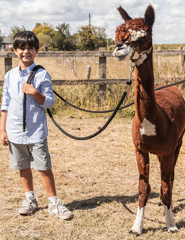 Kinderlijk model met bruin haar en bruine ogen Stan T.