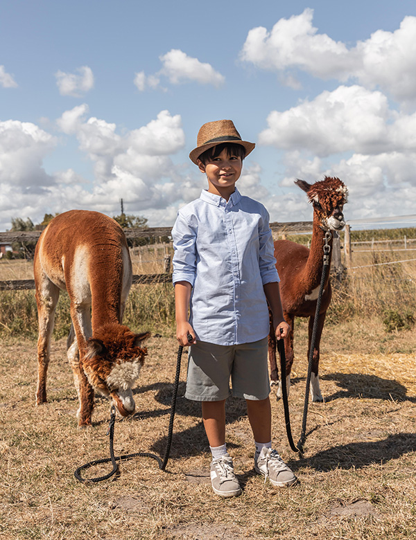 Kinderlijk model met bruin haar en bruine ogen Stan T.