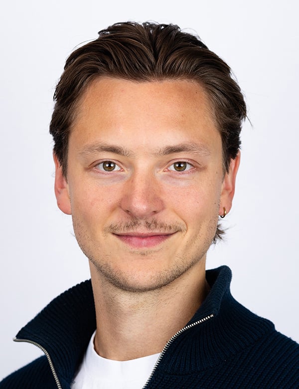 Mannelijk model met bruin haar abel f.